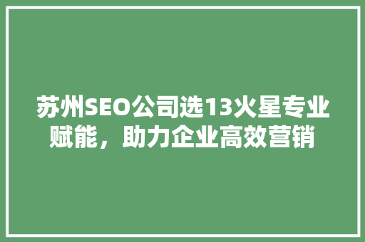 苏州SEO公司选13火星专业赋能，助力企业高效营销  第1张