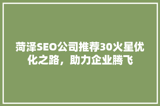菏泽SEO公司推荐30火星优化之路，助力企业腾飞