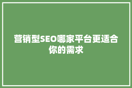 营销型SEO哪家平台更适合你的需求