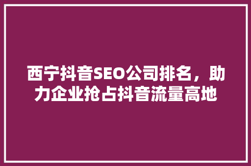 西宁抖音SEO公司排名，助力企业抢占抖音流量高地