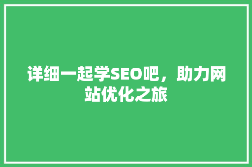 详细一起学SEO吧，助力网站优化之旅
