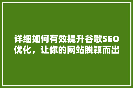 详细如何有效提升谷歌SEO优化，让你的网站脱颖而出