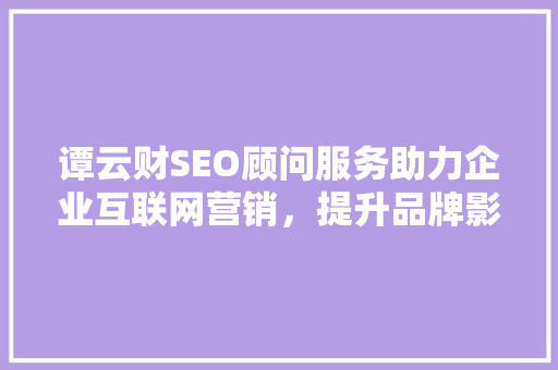谭云财SEO顾问服务助力企业互联网营销，提升品牌影响力