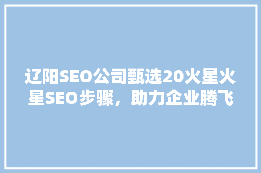 辽阳SEO公司甄选20火星火星SEO步骤，助力企业腾飞
