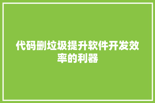 代码删垃圾提升软件开发效率的利器