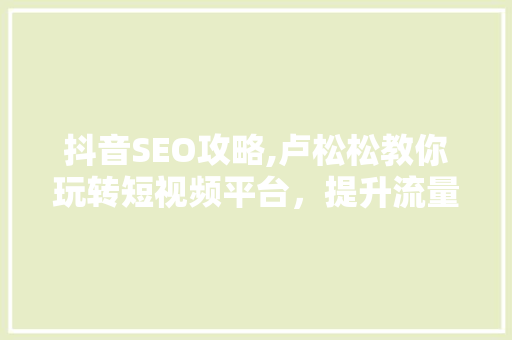 抖音SEO攻略,卢松松教你玩转短视频平台，提升流量与曝光  第1张