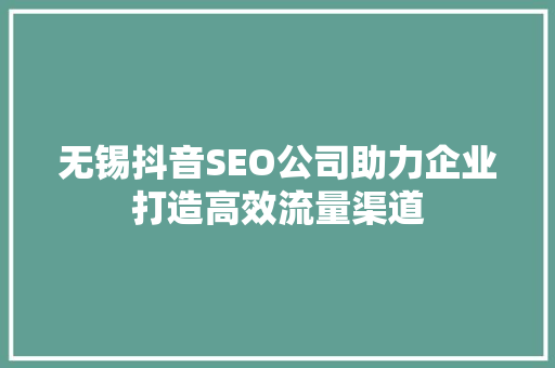 无锡抖音SEO公司助力企业打造高效流量渠道