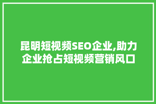 昆明短视频SEO企业,助力企业抢占短视频营销风口