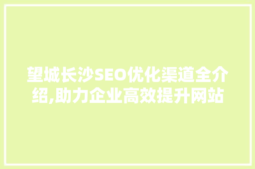 望城长沙SEO优化渠道全介绍,助力企业高效提升网站排名