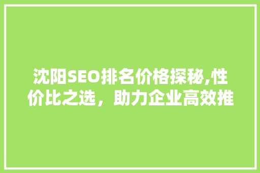 沈阳SEO排名价格探秘,性价比之选，助力企业高效推广