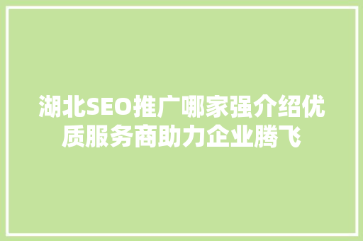 湖北SEO推广哪家强介绍优质服务商助力企业腾飞