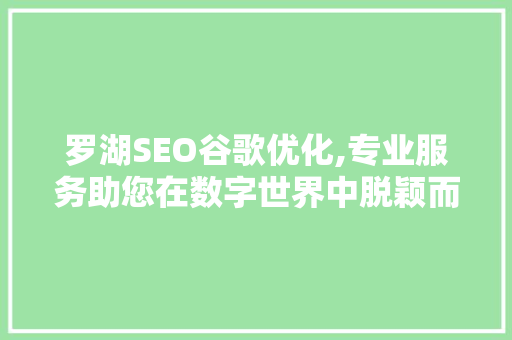 罗湖SEO谷歌优化,专业服务助您在数字世界中脱颖而出  第1张