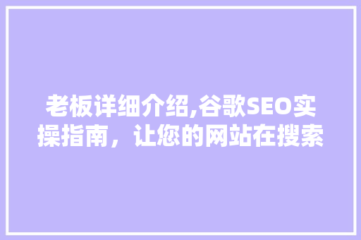 老板详细介绍,谷歌SEO实操指南，让您的网站在搜索引擎中脱颖而出  第1张