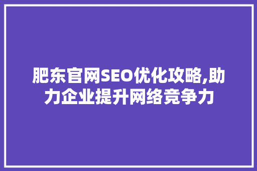 肥东官网SEO优化攻略,助力企业提升网络竞争力