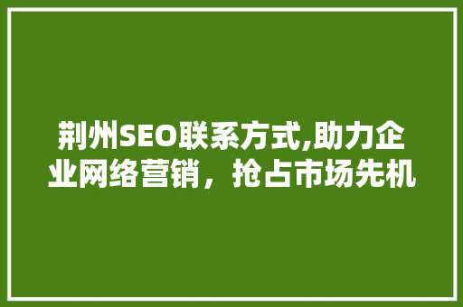 荆州SEO联系方式,助力企业网络营销，抢占市场先机