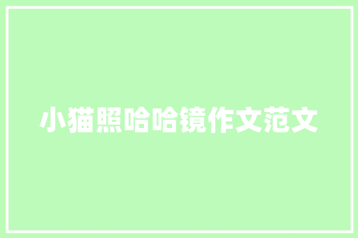 代码量与编程效率量化编程艺术的背后