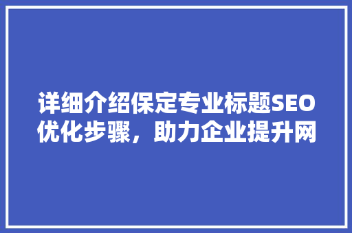 详细介绍保定专业标题SEO优化步骤，助力企业提升网站排名