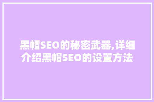 黑帽SEO的秘密武器,详细介绍黑帽SEO的设置方法