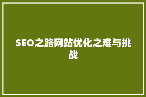 SEO之路网站优化之难与挑战