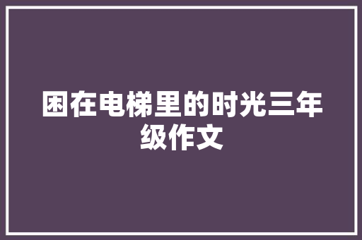 代码高光编程之美与效率之路