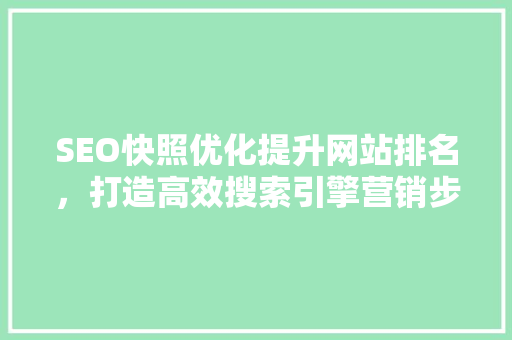 SEO快照优化提升网站排名，打造高效搜索引擎营销步骤