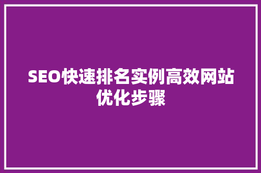 SEO快速排名实例高效网站优化步骤