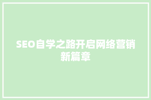 SEO自学之路开启网络营销新篇章