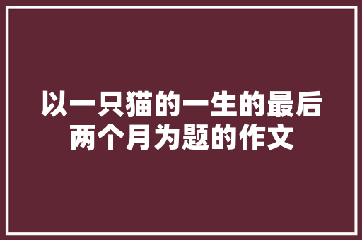 分栏域代码在信息架构中的应用与价值