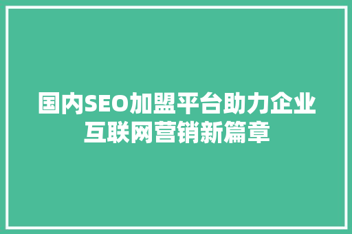 国内SEO加盟平台助力企业互联网营销新篇章