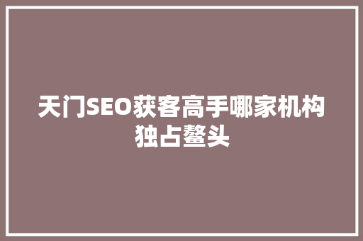 天门SEO获客高手哪家机构独占鳌头