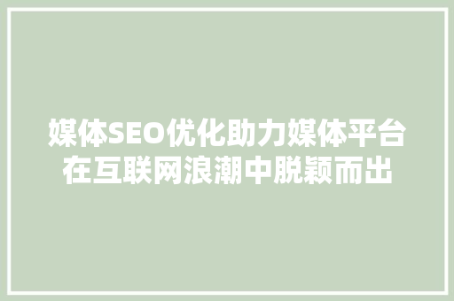 媒体SEO优化助力媒体平台在互联网浪潮中脱颖而出