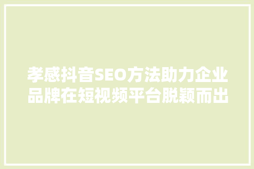 孝感抖音SEO方法助力企业品牌在短视频平台脱颖而出