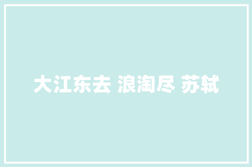 宁波短视频SEO方法打造爆款短视频，助力企业腾飞