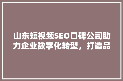 山东短视频SEO口碑公司助力企业数字化转型，打造品牌影响力新高峰