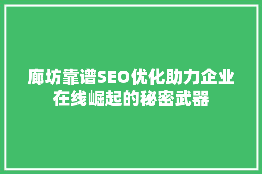 廊坊靠谱SEO优化助力企业在线崛起的秘密武器
