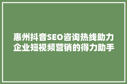 惠州抖音SEO咨询热线助力企业短视频营销的得力助手