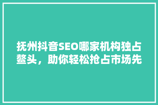 抚州抖音SEO哪家机构独占鳌头，助你轻松抢占市场先机  第1张
