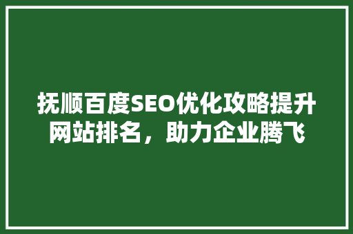 抚顺百度SEO优化攻略提升网站排名，助力企业腾飞