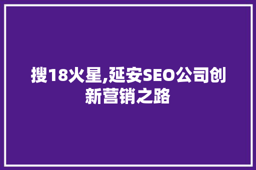 搜18火星,延安SEO公司创新营销之路