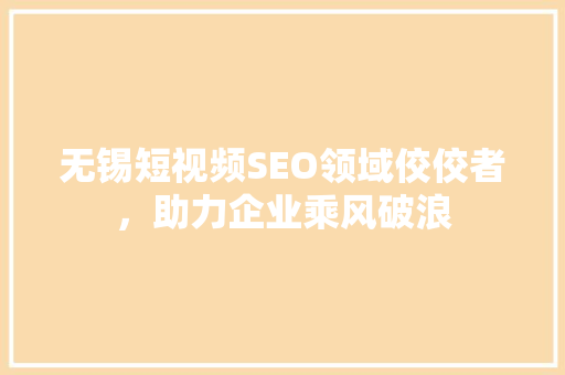 无锡短视频SEO领域佼佼者，助力企业乘风破浪