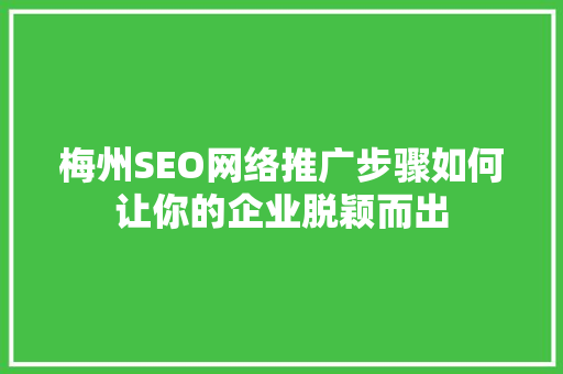 梅州SEO网络推广步骤如何让你的企业脱颖而出