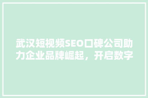 武汉短视频SEO口碑公司助力企业品牌崛起，开启数字营销新篇章