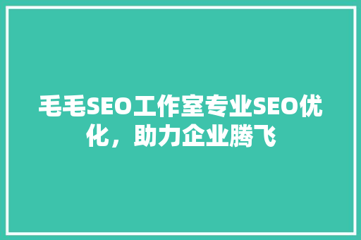 毛毛SEO工作室专业SEO优化，助力企业腾飞