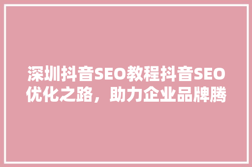深圳抖音SEO教程抖音SEO优化之路，助力企业品牌腾飞