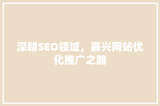 深耕SEO领域，嘉兴网站优化推广之路