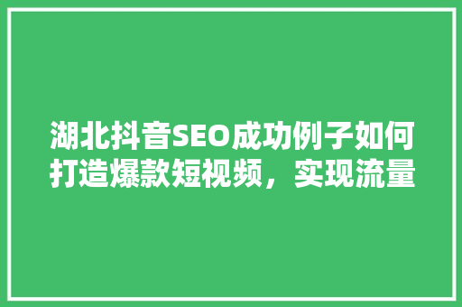湖北抖音SEO成功例子如何打造爆款短视频，实现流量倍增