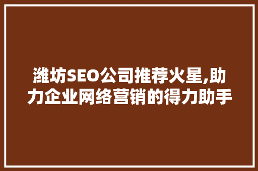 潍坊SEO公司推荐火星,助力企业网络营销的得力助手