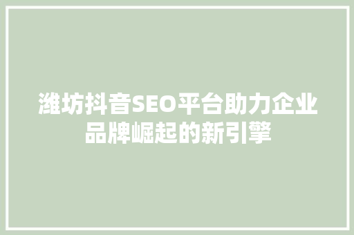 潍坊抖音SEO平台助力企业品牌崛起的新引擎