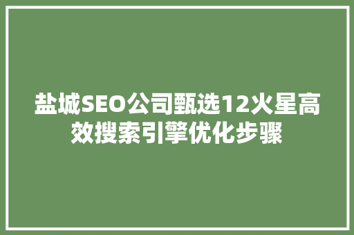 盐城SEO公司甄选12火星高效搜索引擎优化步骤