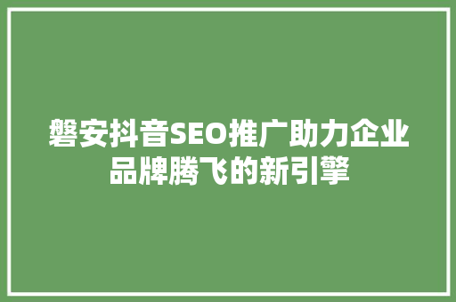 磐安抖音SEO推广助力企业品牌腾飞的新引擎